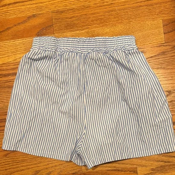 Blue Striped Women's Shorts - Picture 2 of 2